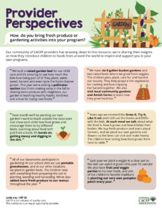 Provider Perspectives Local Foods