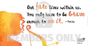 WC Merida Social Preview