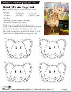 Drink Like an elephant